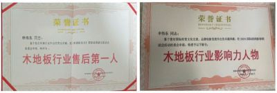 木地板優(yōu)秀行業(yè)優(yōu)秀勞?！陚|